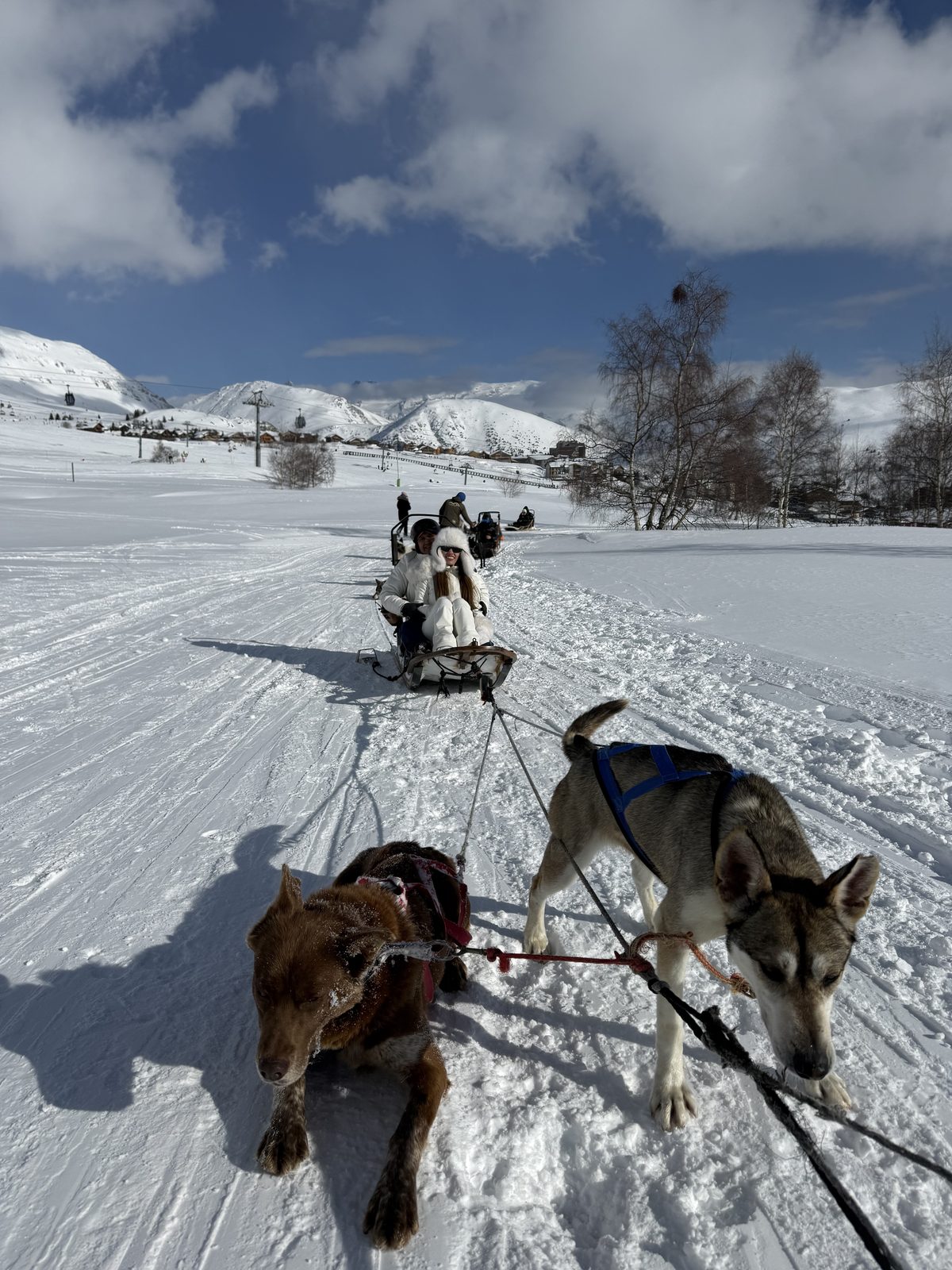 Isabella with a dog sled in the snow